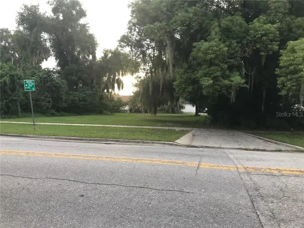 315 N Sinclair Avenue Tavares FL 32778