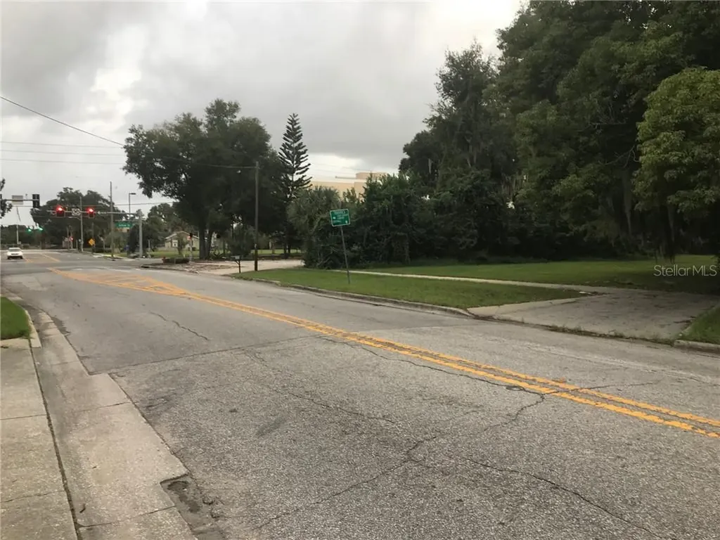 315 N Sinclair Avenue Tavares FL 32778