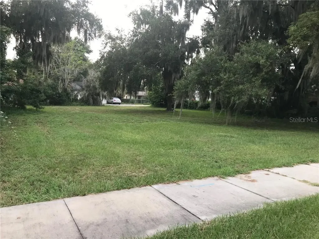 315 N Sinclair Avenue Tavares FL 32778