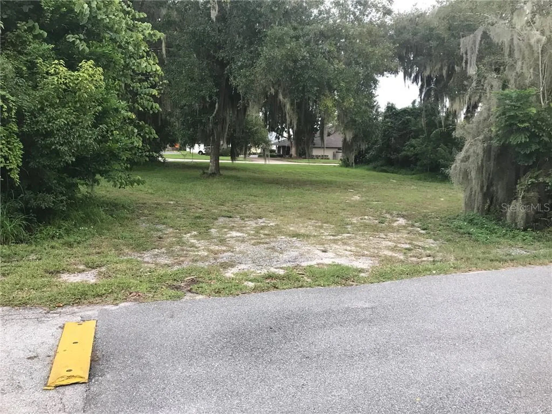 315 N Sinclair Avenue Tavares FL 32778
