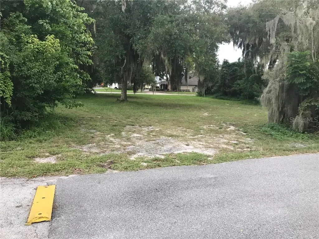 315 N Sinclair Avenue Tavares FL 32778
