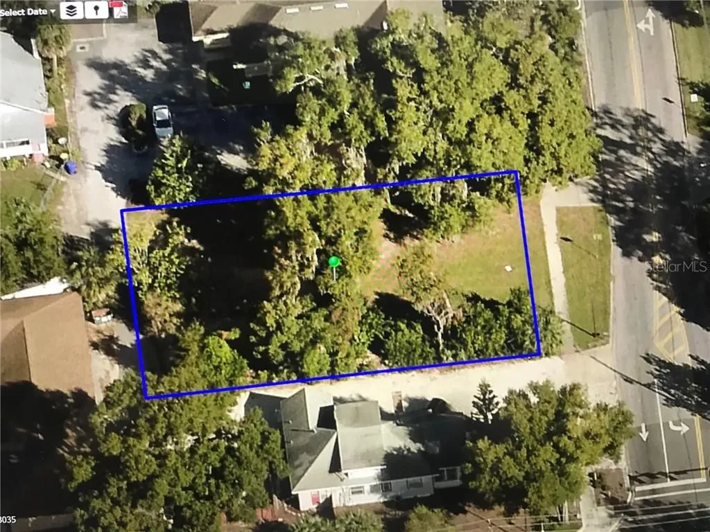 315 N Sinclair Avenue Tavares FL 32778