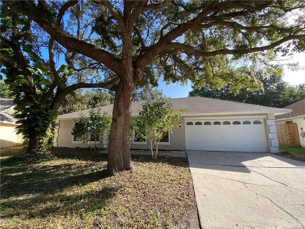 18309 Cypress Stand Circle Tampa FL 33647
