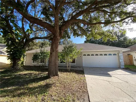 18309 Cypress Stand Circle Tampa FL 33647