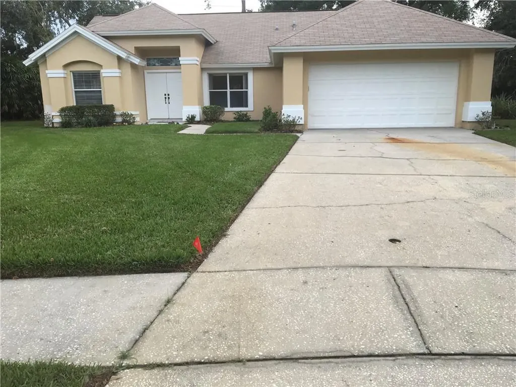16102 Canton Court Tampa FL 33647