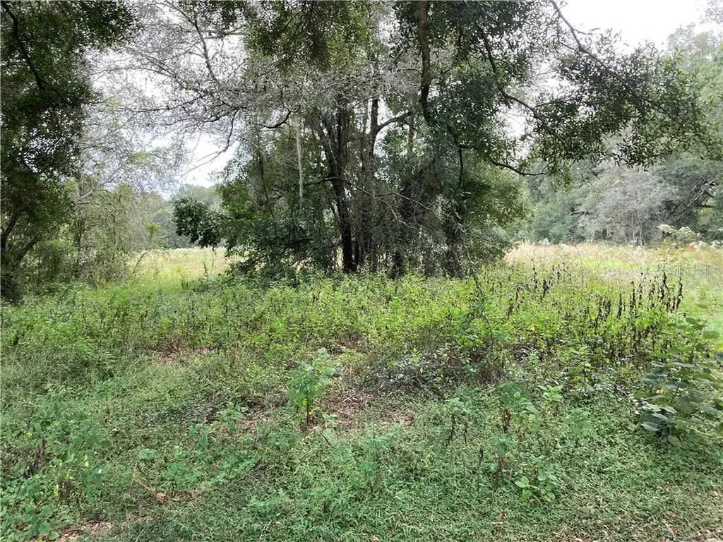 12126 Rix Lane Dade City FL 33525