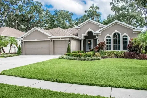 1603 Brilliant Cut Way Valrico FL 33594