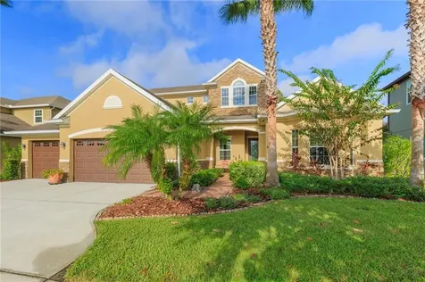 19328 Yellow Clover Drive Tampa FL 33647