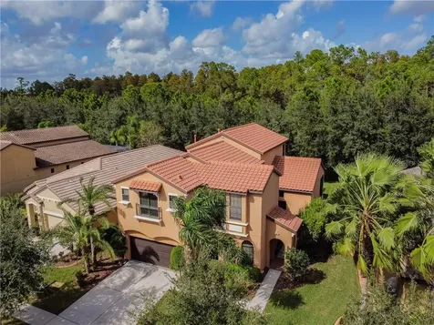 8264 Dunham Station Drive Tampa FL 33647