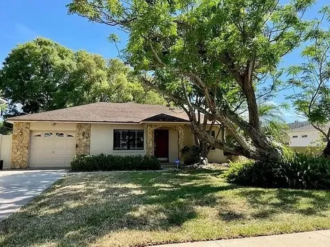 3206 W Lemon Street Tampa FL 33609