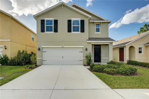 12203 Fawn Brindle Street Riverview FL 33578