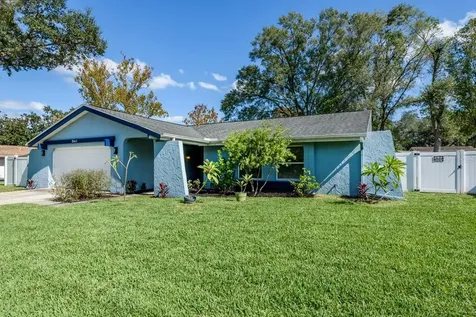 15621 Deerglen Drive Tampa FL 33624