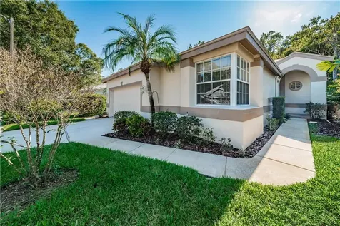 3544 Sylvan Edge Drive Palm Harbor FL 34685