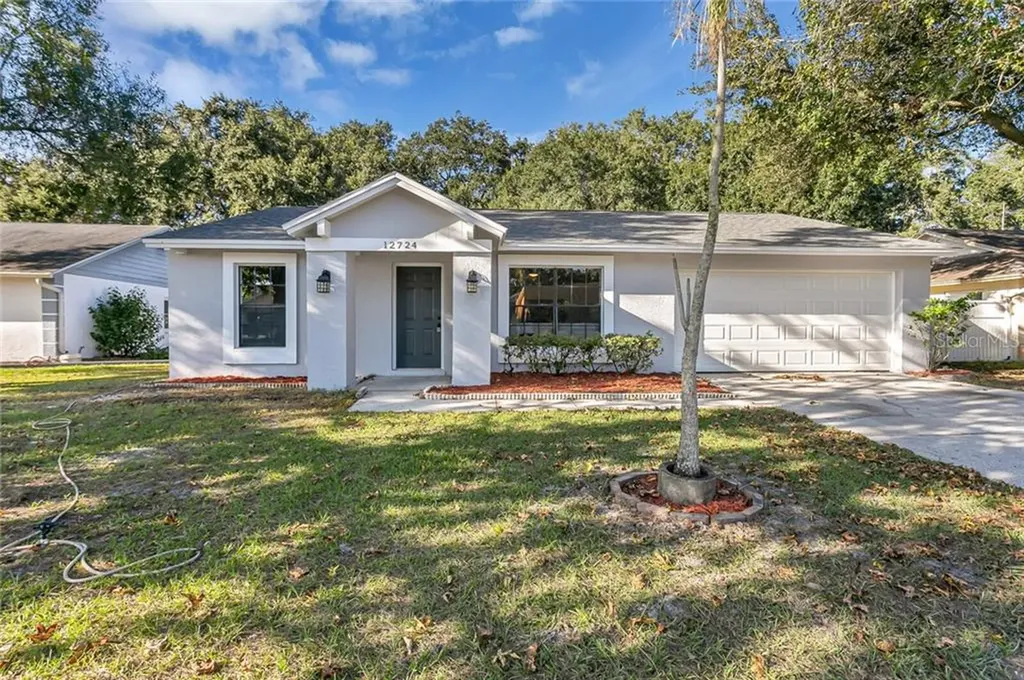12724 Trucious Place Tampa FL 33625