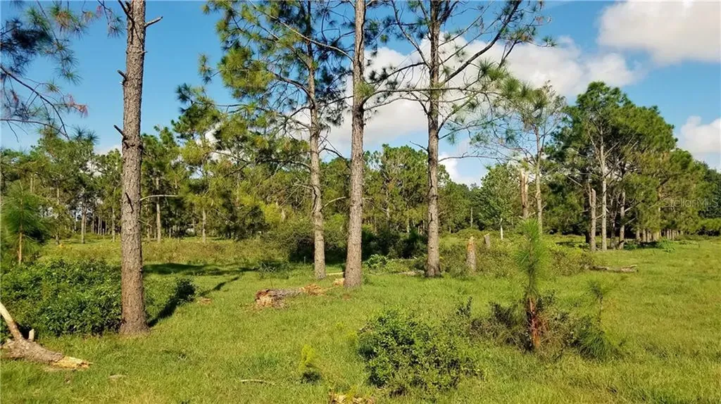 Litchfield Loop Winter Haven FL 33884