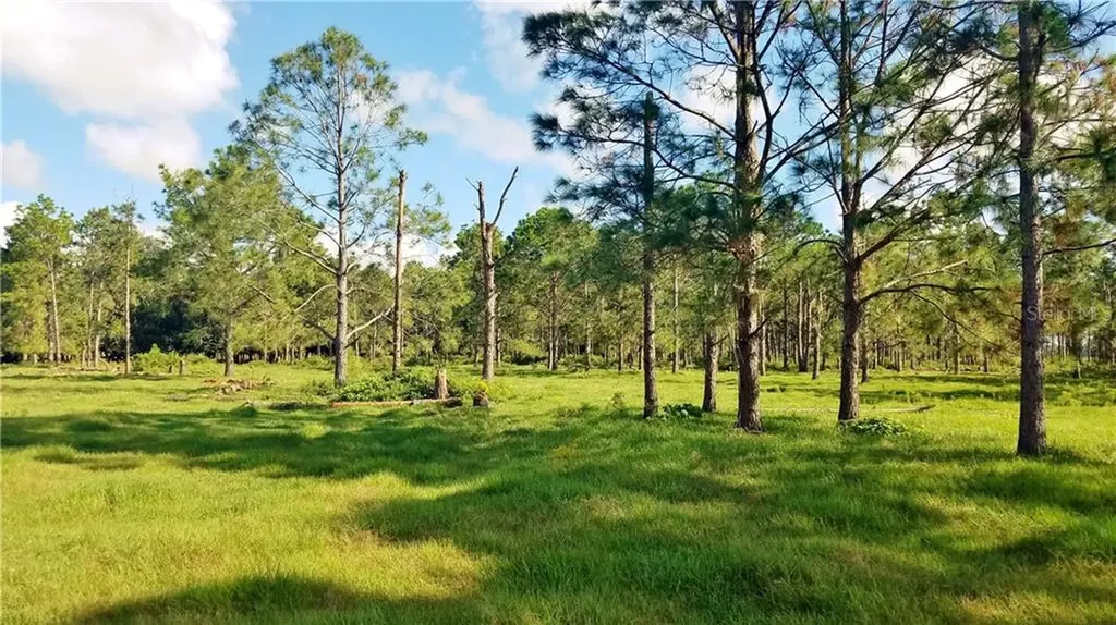 Litchfield Loop Winter Haven FL 33884