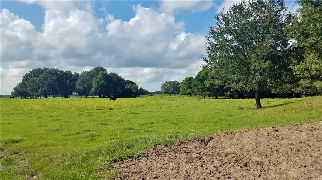 Litchfield Loop Winter Haven FL 33884