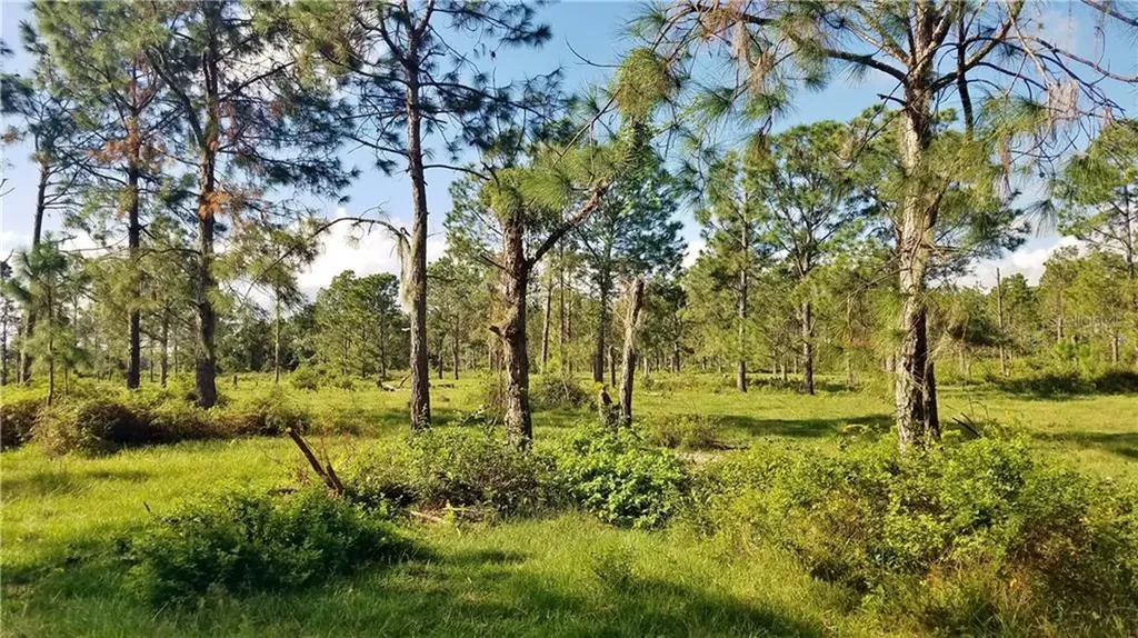 Litchfield Loop Winter Haven FL 33884