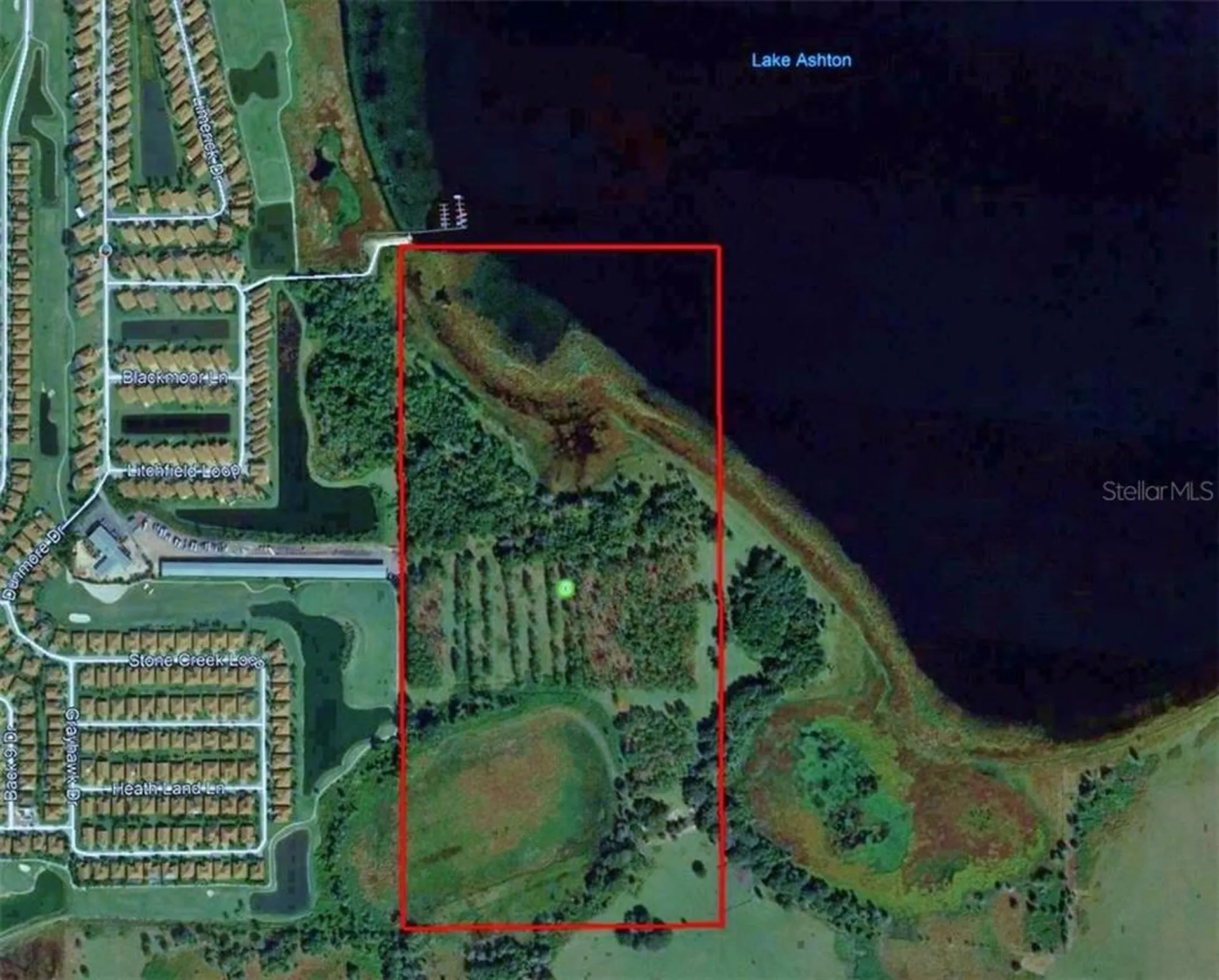 Litchfield Loop Winter Haven FL 33884