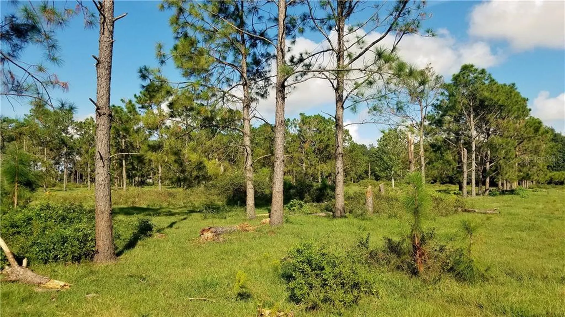 Litchfield Loop Winter Haven FL 33884