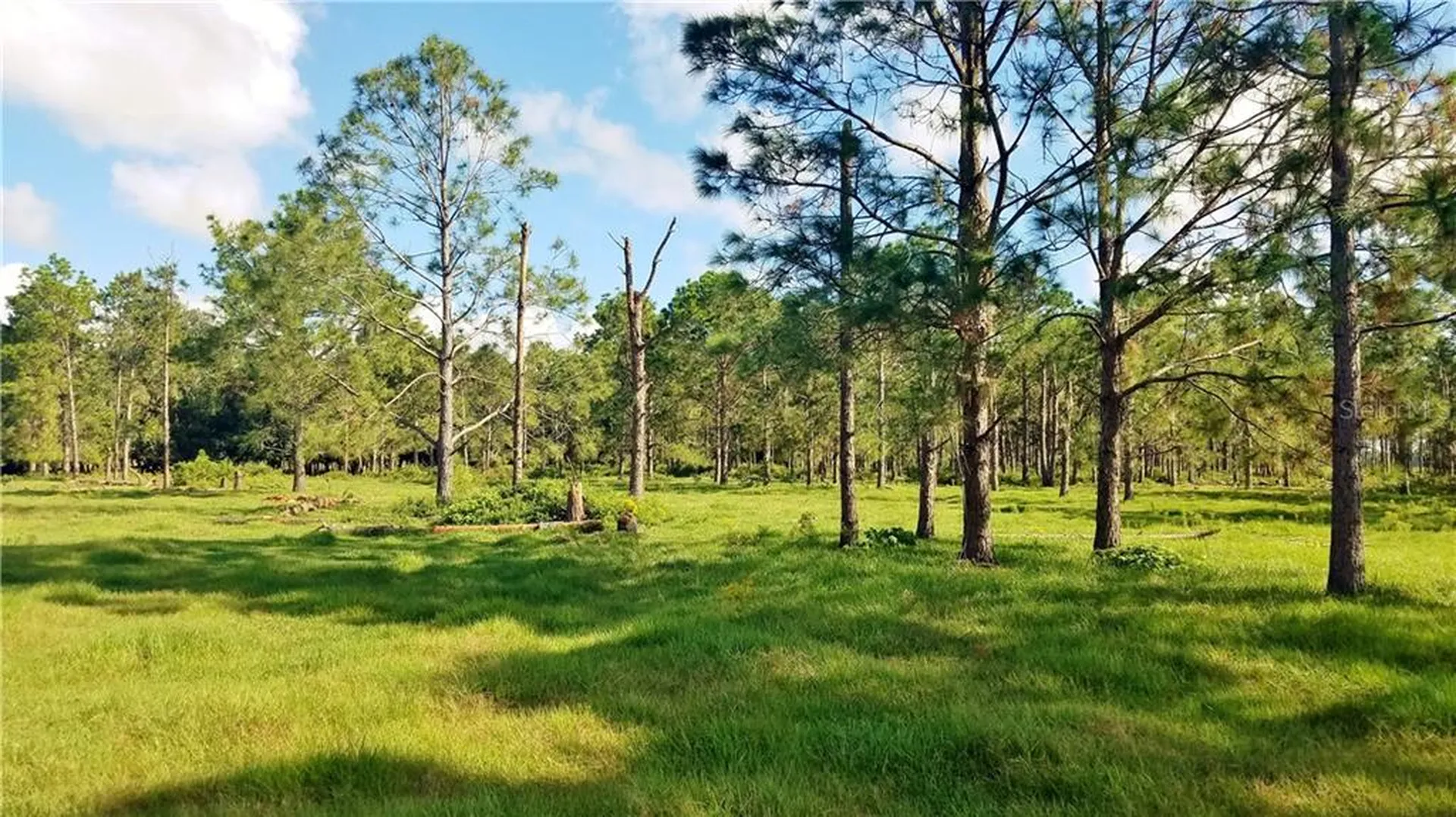 Litchfield Loop Winter Haven FL 33884