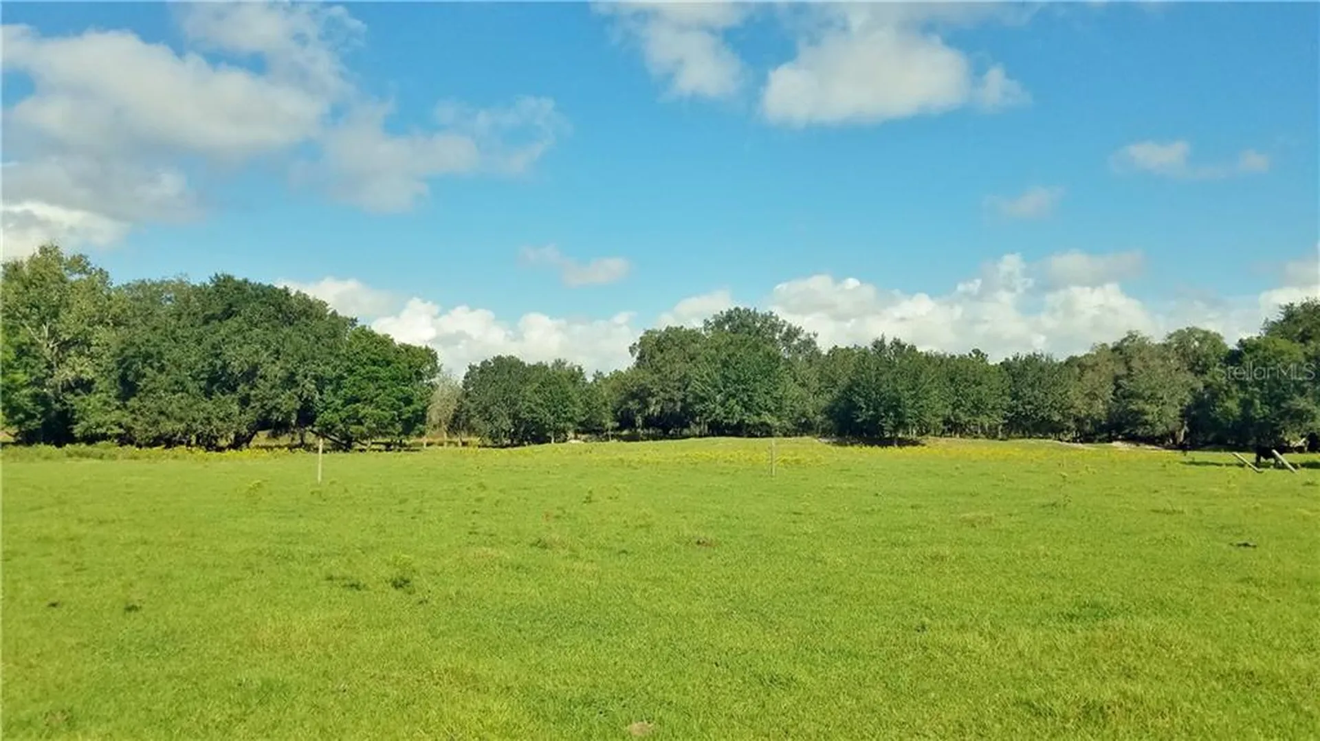Litchfield Loop Winter Haven FL 33884
