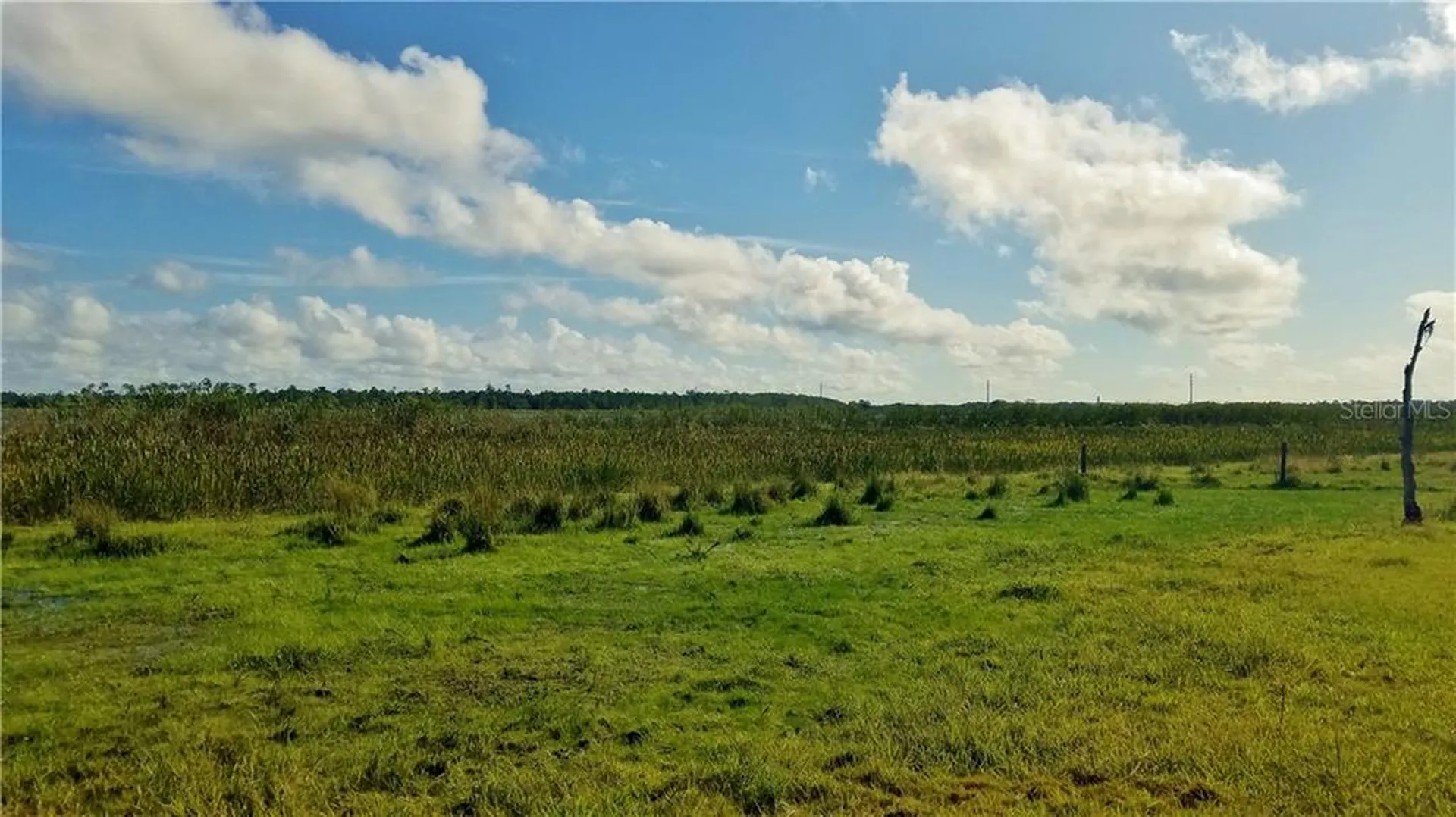Litchfield Loop Winter Haven FL 33884