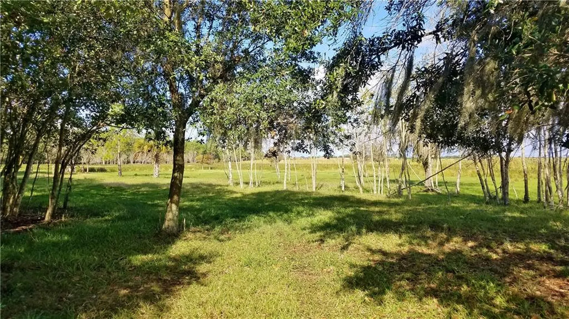 Litchfield Loop Winter Haven FL 33884