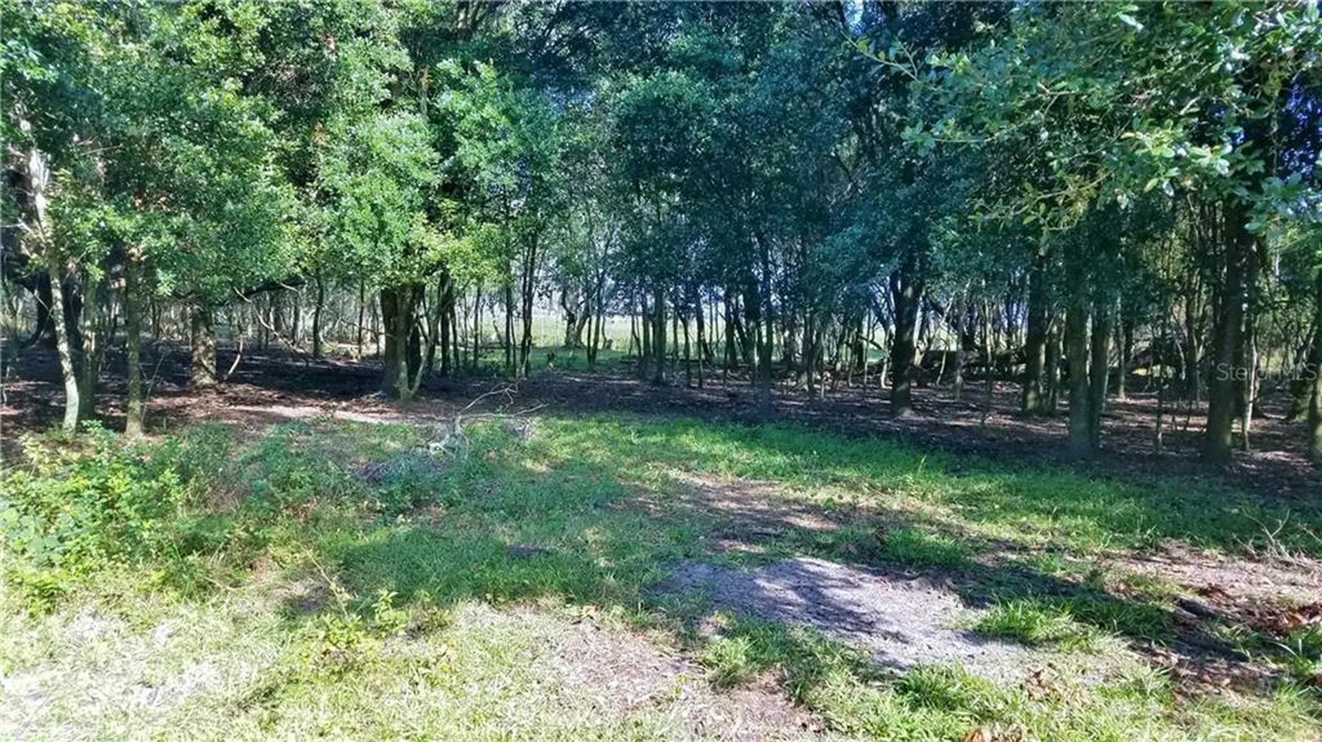 Litchfield Loop Winter Haven FL 33884