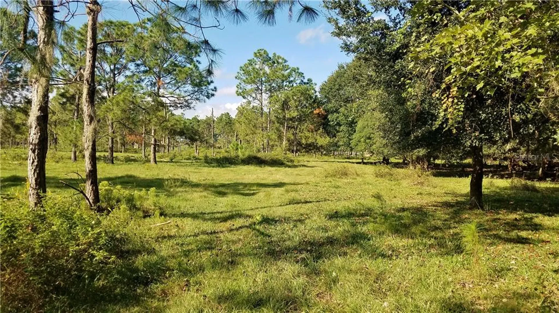 Litchfield Loop Winter Haven FL 33884
