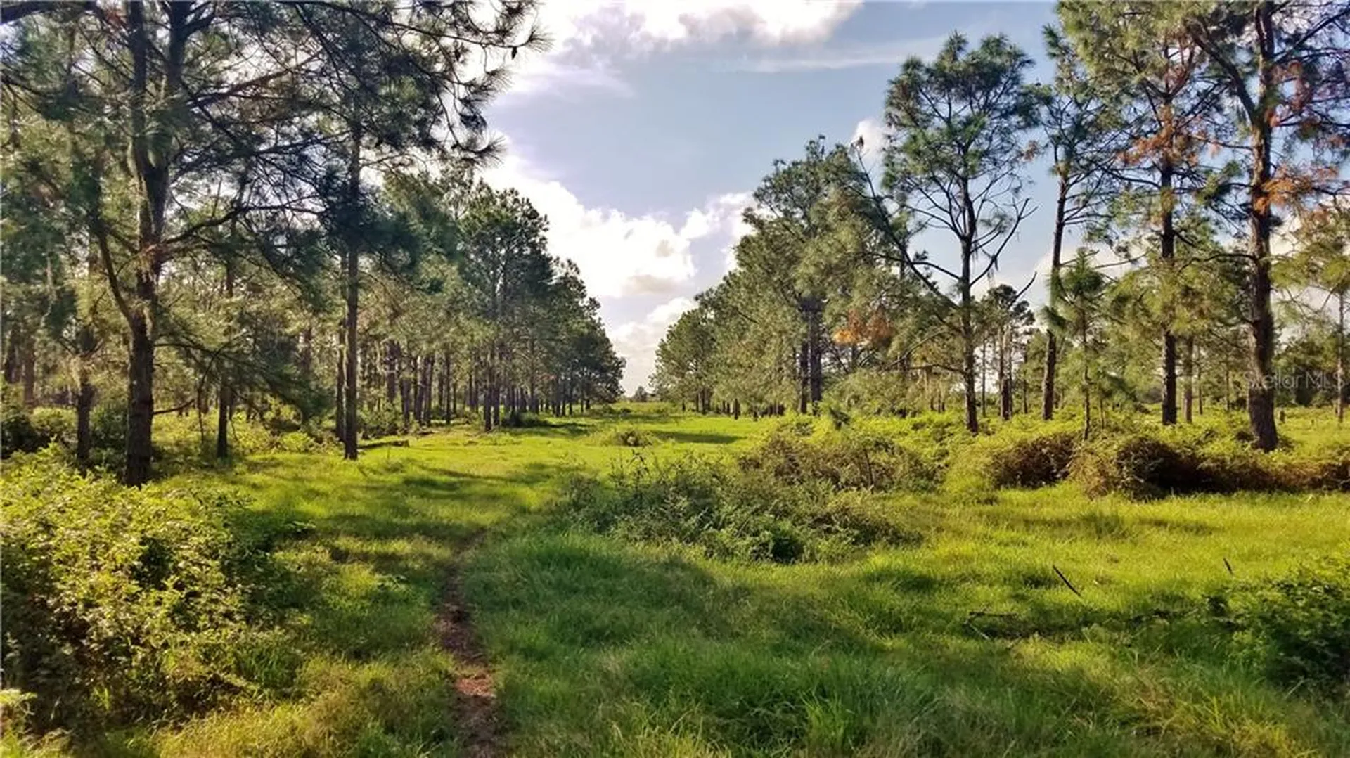 Litchfield Loop Winter Haven FL 33884