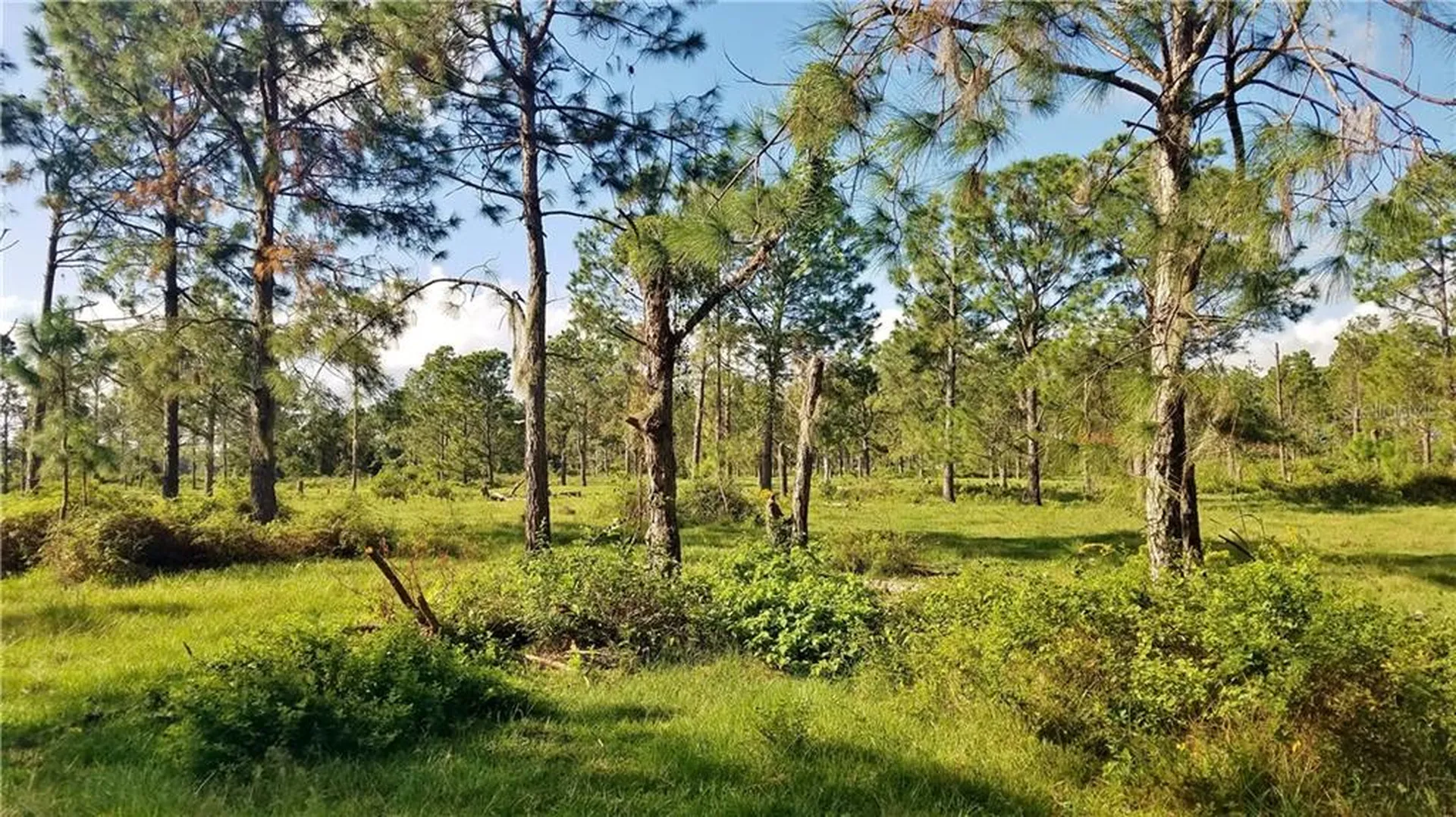Litchfield Loop Winter Haven FL 33884
