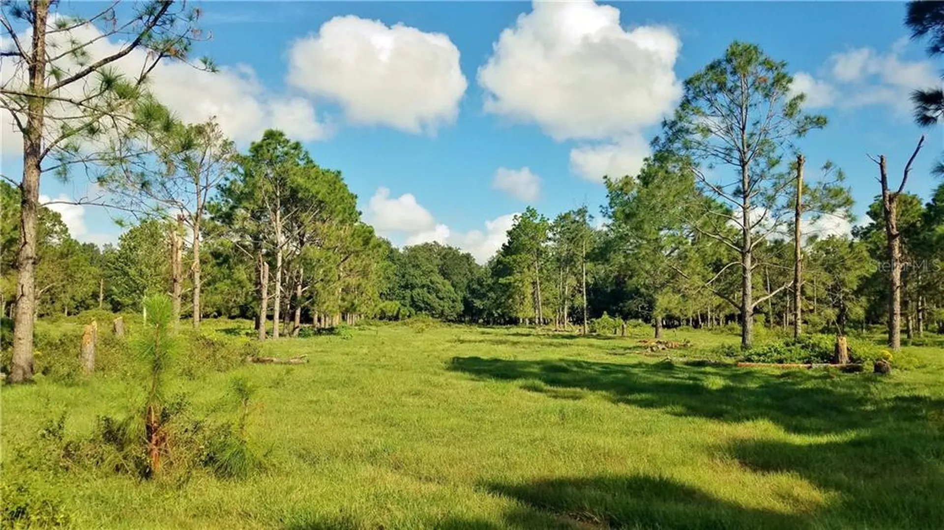 Litchfield Loop Winter Haven FL 33884