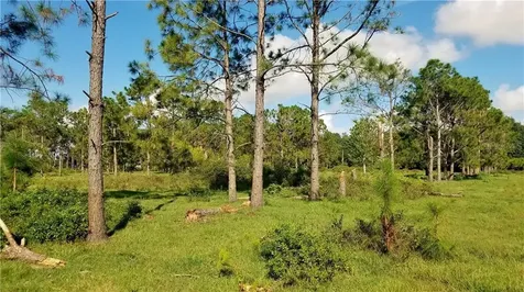 Litchfield Loop Winter Haven FL 33884