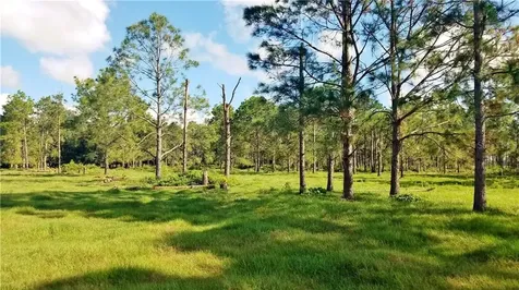 Litchfield Loop Winter Haven FL 33884