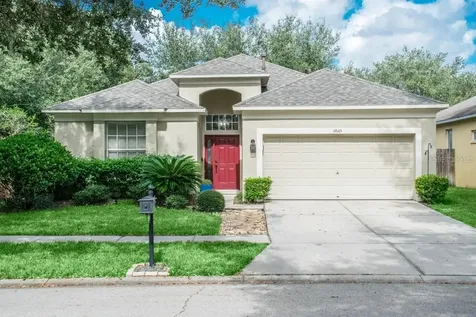 19145 Wood Sage Drive Tampa FL 33647