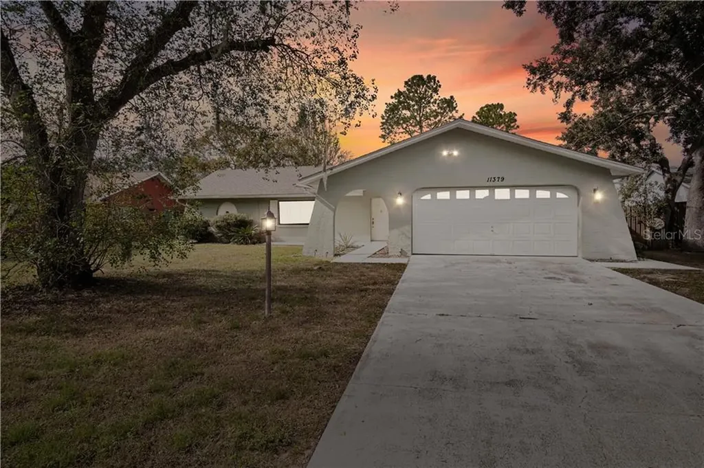 11379 Lagorce Avenue Spring Hill FL 34609