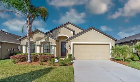 6633 Wild Elm Court Wesley Chapel FL 33545