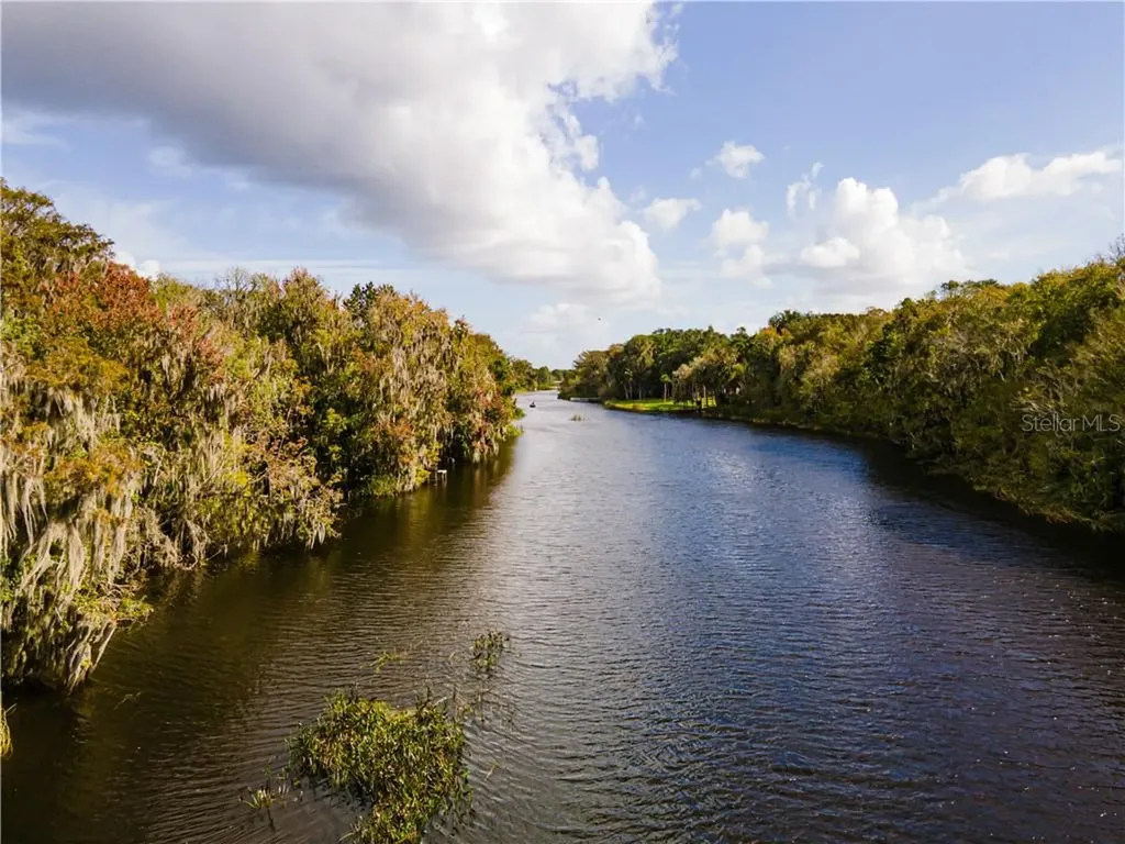 2573 Cr 412 Lake Panasoffkee FL 33538