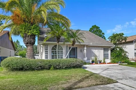 11804 Sweetpea Court Tampa FL 33635