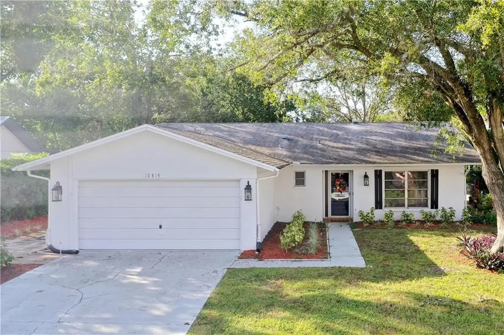 10819 Hachita Drive Port Richey FL 34668