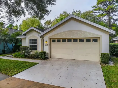 1721 Stafford Springs Boulevard Mount Dora FL 32757