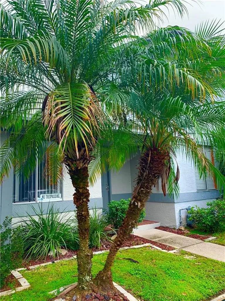 1311 Azalea Way Winter Garden FL 34787