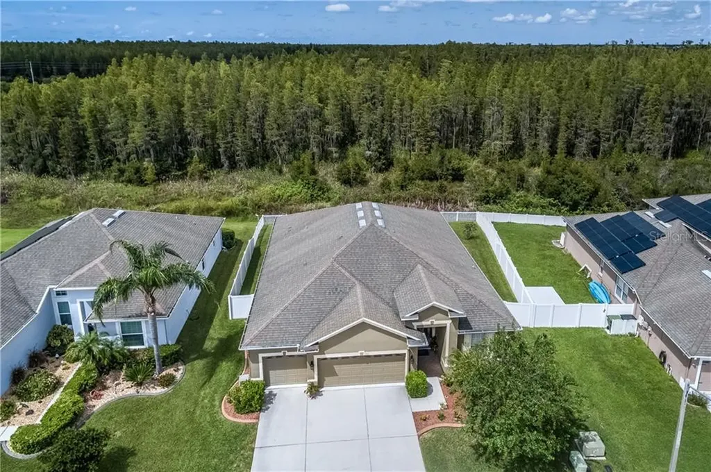 3343 Chessington Drive Land O Lakes FL 34638