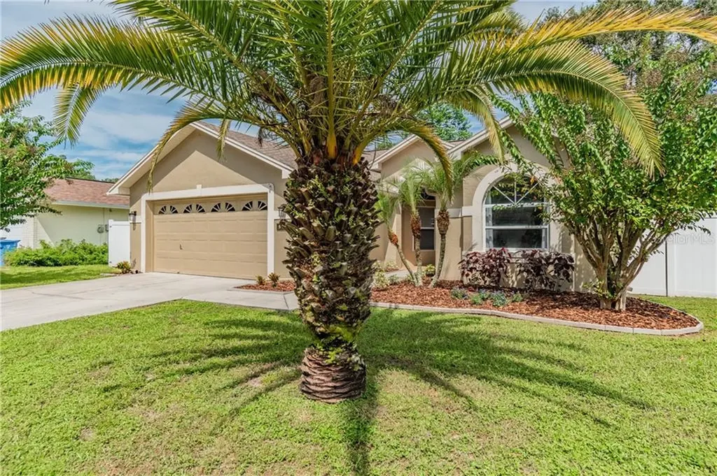 5813 Bitter Orange Avenue Tampa FL 33625