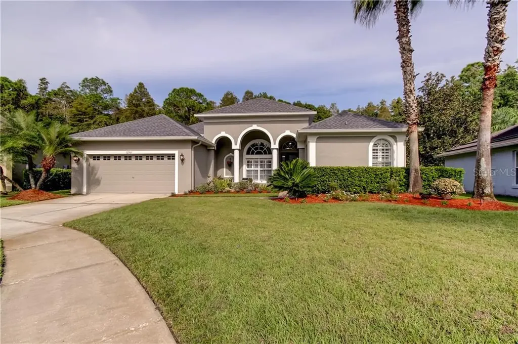 12561 Leatherleaf Drive Tampa FL 33626