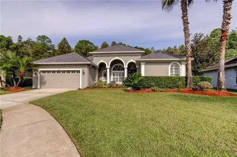 12561 Leatherleaf Drive Tampa FL 33626
