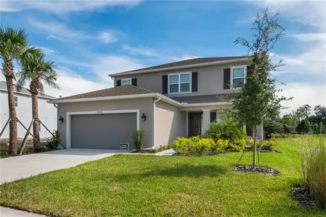 29730 Chapel Chase Drive Wesley Chapel FL 33545
