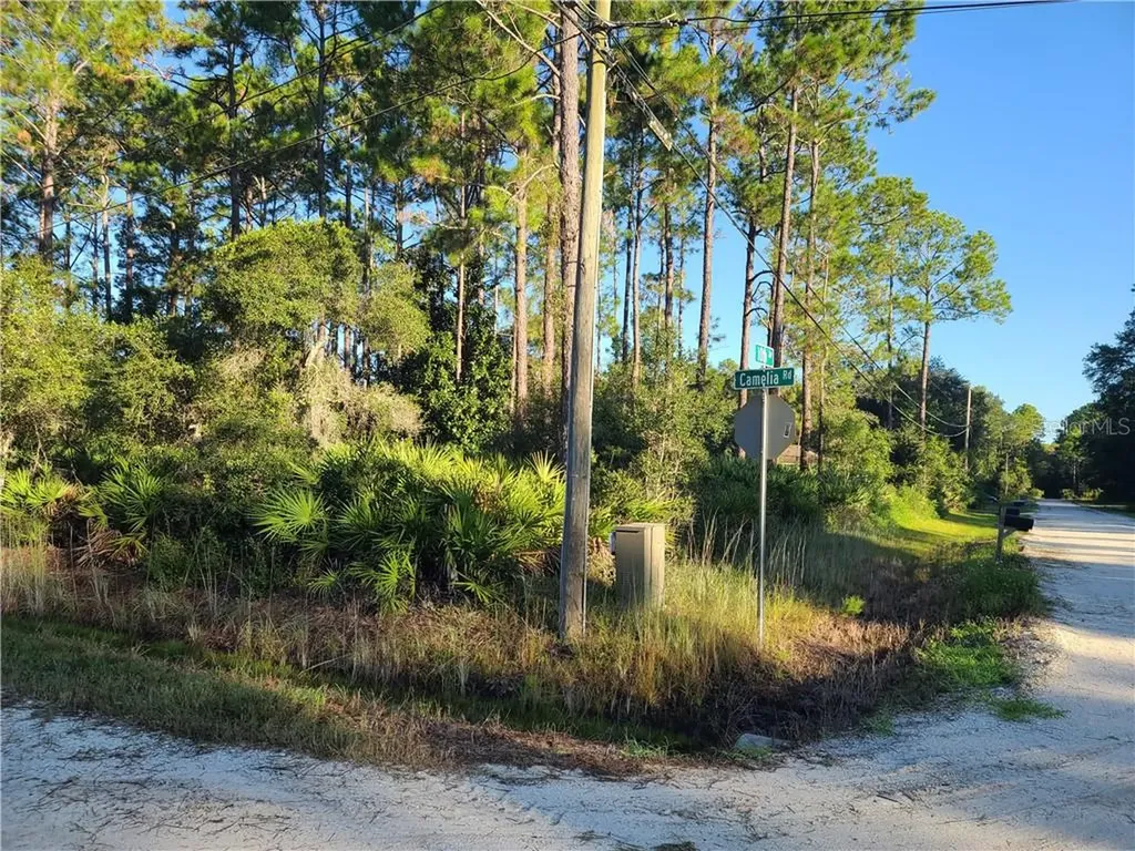 2200 10th Avenue Deland FL 32724