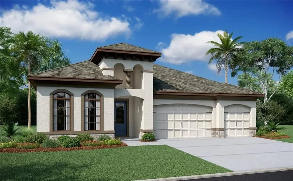 33244 Chasewood Circle Wesley Chapel FL 33545